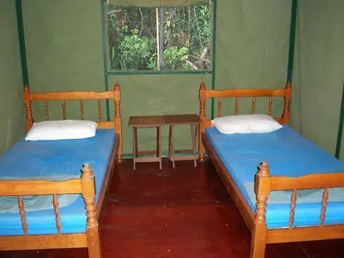 Resort: Jungle Lodge